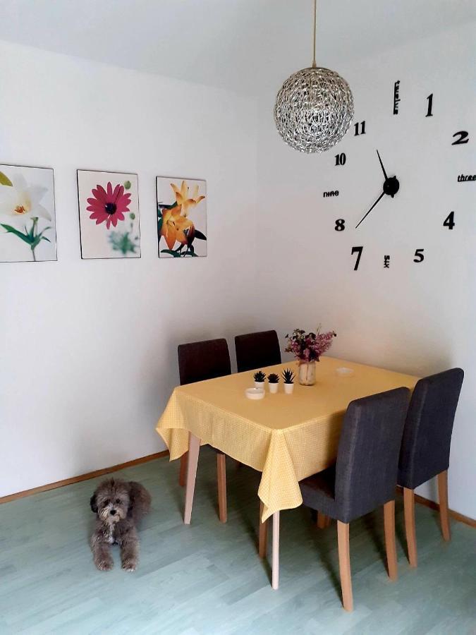 Apartman Danube 노비사드 외부 사진